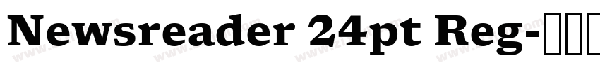 Newsreader 24pt Reg字体转换 Newsreader 24pt Reg字体转换